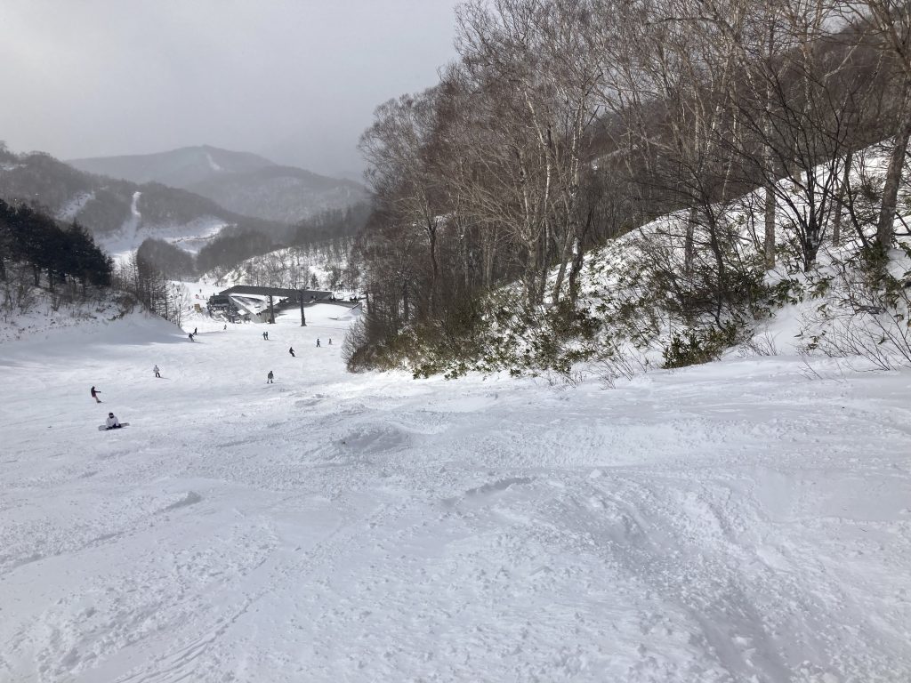 川場スキー場 コブ