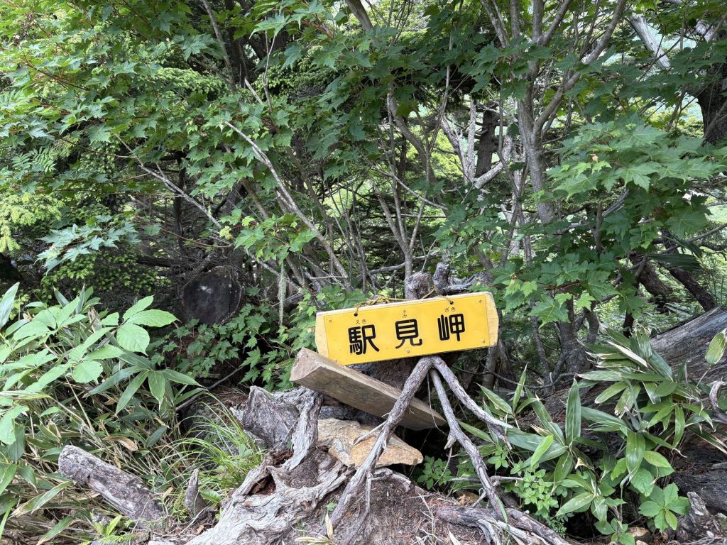爺ヶ岳 駅見岬