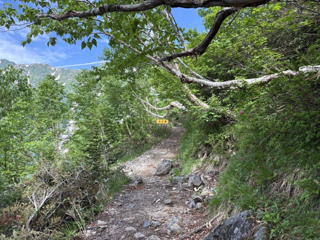 爺ヶ岳 水平道