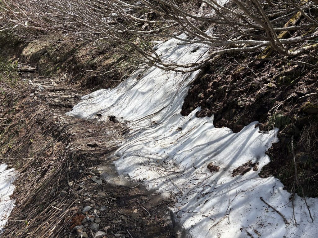 爺ヶ岳 残雪
