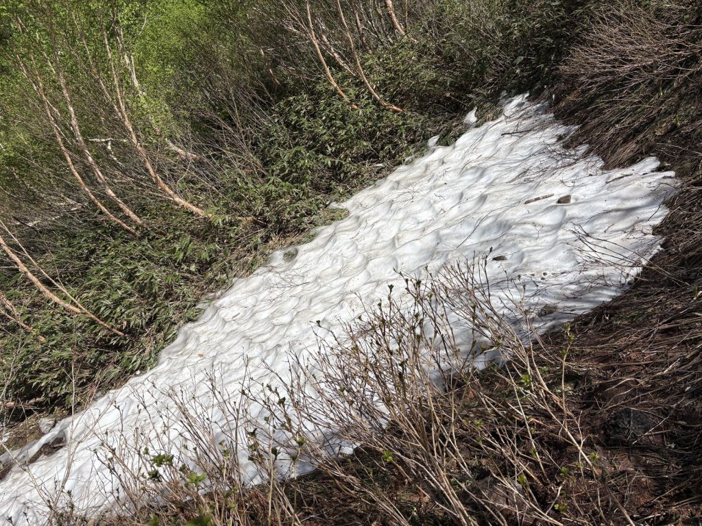 爺ヶ岳 残雪