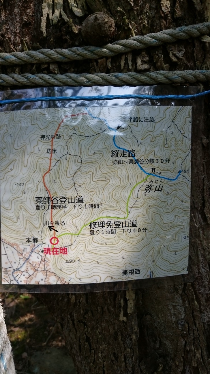 弥山 地図 ルート